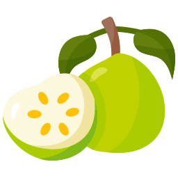 Guava icon