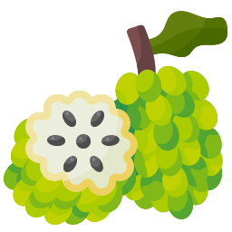 Custard apple icon