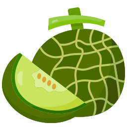 Melon icon