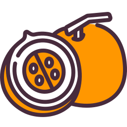 Cantaloupe icon