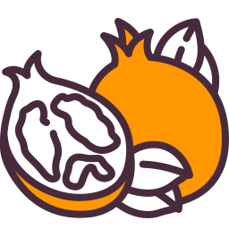 Pomegranate icon