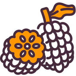 Custard apple icon