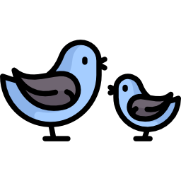 Birds icon