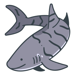 Shark icon