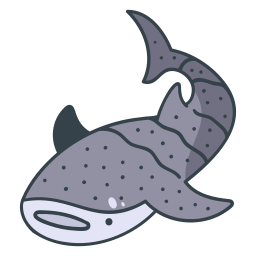 Shark icon