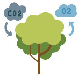 Photosynthesis icon