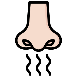 Olfactory icon