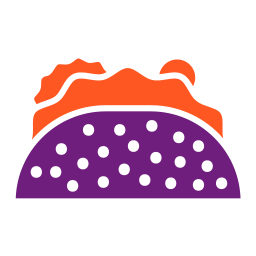 Taco icon