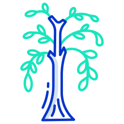 Tree icon