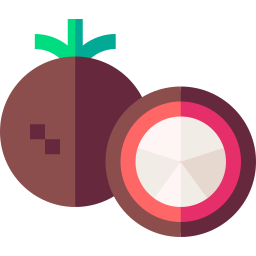 mangostan icon