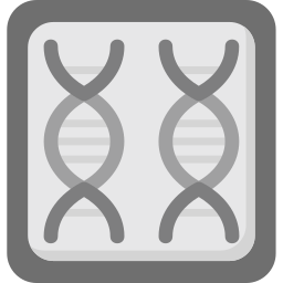 chromosome Icône