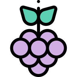 Grapes icon