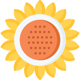 Sunflower icon