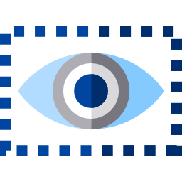 vision icon