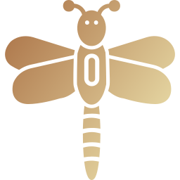 Dragonfly icon