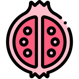 Pomegranate icon