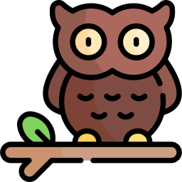 Owl icon