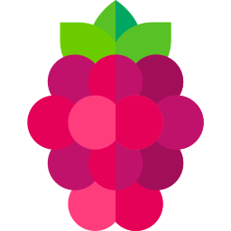 Raspberry icon