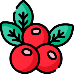 Berry icon