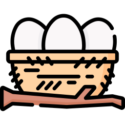 nest icon