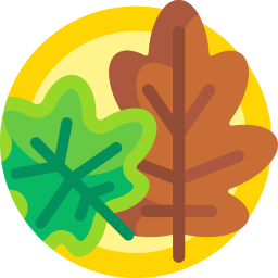 Leaves icon