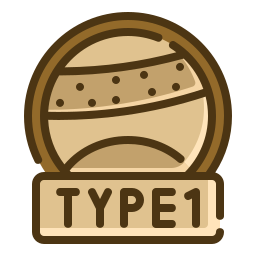 Type 1 icon