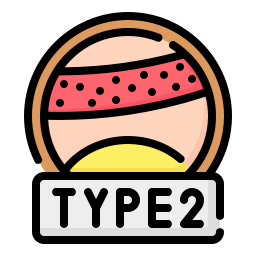 Type 2 icon