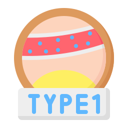 Type 1 icon