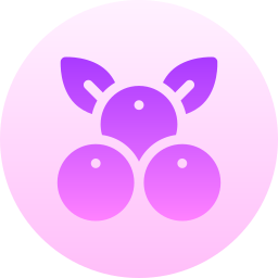 Berries icon