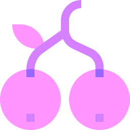 Berries icon