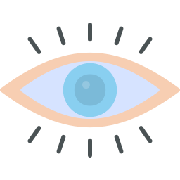 Vision icon