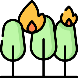 Wildfire icon