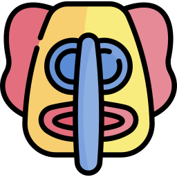 marimonda icon