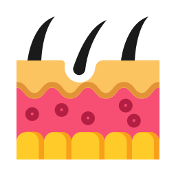 Skin cell icon