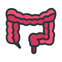 Body organ icon