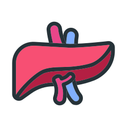 Body organ icon