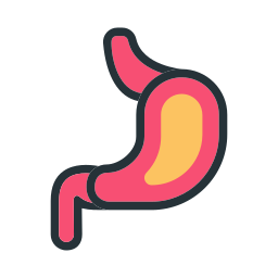 Stomach icon