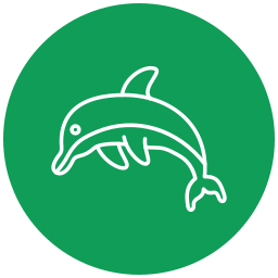 Dolphin icon