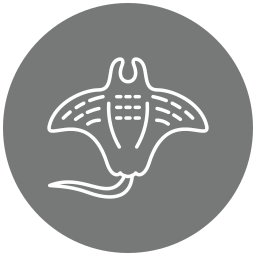 manta icon