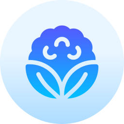 blumenkohl icon