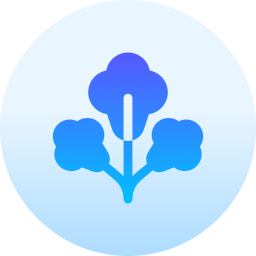 Coriander icon