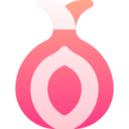 Onion icon