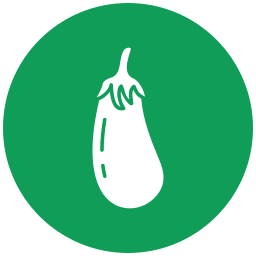 aubergine icon