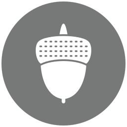 Acorn icon