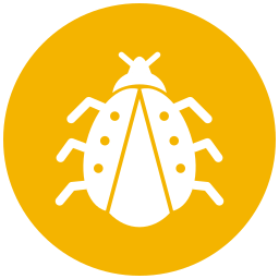 Ladybug icon