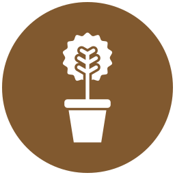 Myrtus icon