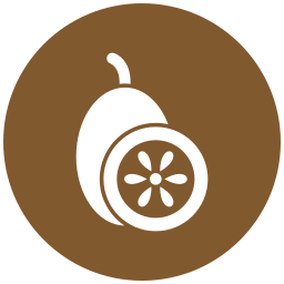 Kiwi icon