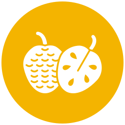 cherimoya icon