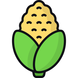 Corn icon