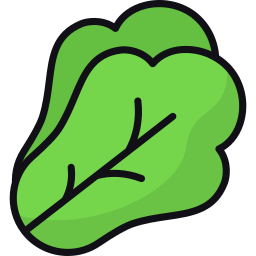 Lettuce icon